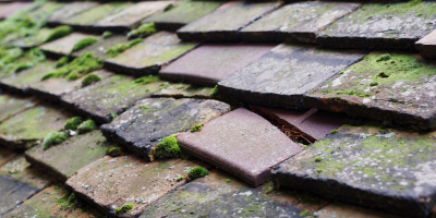 Pentre Ty Gwyn roof repair costs